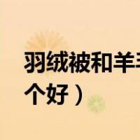 羽绒被和羊毛被哪个好?（羊毛被和羽绒被哪个好）