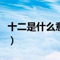十二是什么意思代表爱情的含义（爱情的含义）