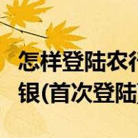 怎样登陆农行个人网银（如何登陆农行个人网银(首次登陆)）
