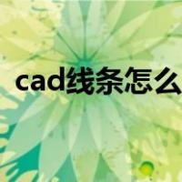 cad线条怎么加粗不了（cad线条怎么加粗）