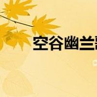 空谷幽兰歌词解析（空谷幽兰 歌词）