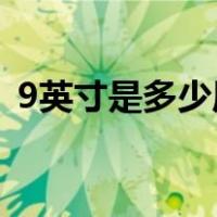 9英寸是多少厘米 直径（9英寸是多少厘米）