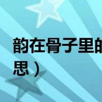 韵在骨子里的散文诗的韵是什么意思（韵的意思）