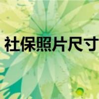 社保照片尺寸规格多大（社保照片尺寸规格）