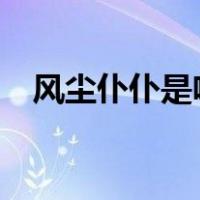 风尘仆仆是啥意思?（风尘仆仆什么意思）