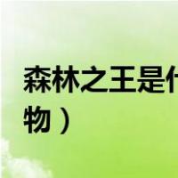 森林之王是什么动物类型（森林之王是什么动物）