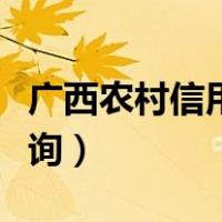 广西农村信用社卡号查询（农村信用社卡号查询）