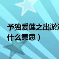 予独爱莲之出淤泥而不染的之是什么意思（何陋之有的之是什么意思）