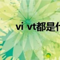 vi vt都是什么意思（vi vt是什么意思）