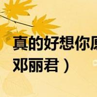 真的好想你原唱邓丽君下载（真的好想你原唱邓丽君）