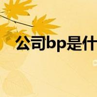 公司bp是什么职位（公司bp是什么意思）