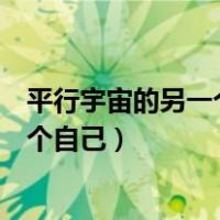 平行宇宙的另一个自己和自己相遇会怎样（平行宇宙的另一个自己）