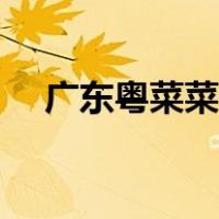广东粤菜菜谱大全窍门（广东粤菜菜谱）