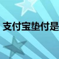 支付宝垫付是什么意思（垫付宝是什么意思）