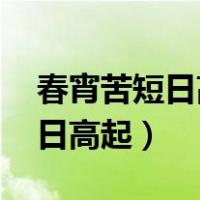 春宵苦短日高起,曹贼竟是我自己（春宵苦短日高起）