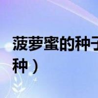 菠萝蜜的种子怎么种图片（菠萝蜜的种子怎么种）