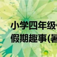 小学四年级作文寒假趣事（小学四年级作文 假期趣事(暑假)）
