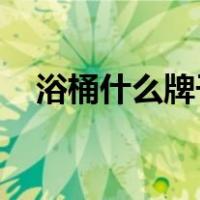 浴桶什么牌子好（浴桶 浴桶品牌有哪些）