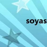 soyasauce 什么意思（soya）