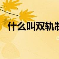 什么叫双轨制退休（退休双轨制是谁弄的）
