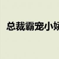 总裁霸宠小娇妻第一章是100万是哪个小说