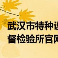 武汉市特种设备监督管理局（武汉特种设备监督检验所官网）