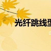 光纤跳线型号和规格（光纤跳线型号）