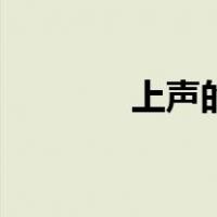 上声的意思（什么是上声字）