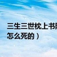 三生三世枕上书阿兰若第几集死的（三生三世枕上书阿兰若怎么死的）