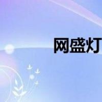 网盛灯保姆官网（灯保姆官网）