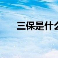 三保是什么时候提出的（三保是什么）