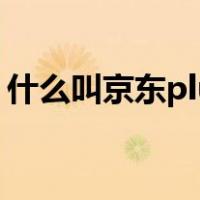 什么叫京东plus会员（什么是京东plus会员）
