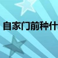 自家门前种什么树风水最好（门前种树风水）
