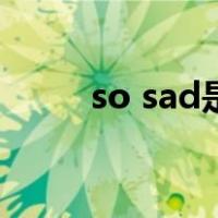 so sad是什么意思英语（so sad）