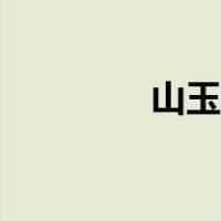 山玉兰种子特征（山玉兰）