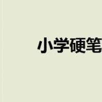 小学硬笔书法教案（硬笔书法教案）