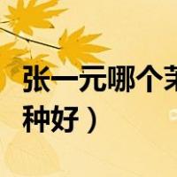 张一元哪个茉莉花茶好喝（张一元茉莉花茶哪种好）