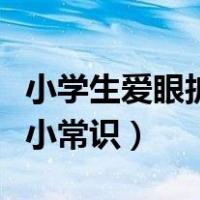 小学生爱眼护眼小常识内容（小学生爱眼护眼小常识）