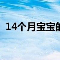 14个月宝宝的食谱（14个月宝宝营养食谱）
