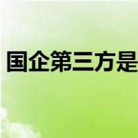 国企第三方是什么意思（第三方是什么意思）
