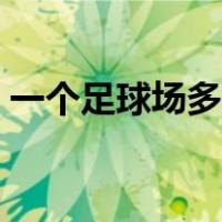 一个足球场多少亩（一个足球场多少平方米）