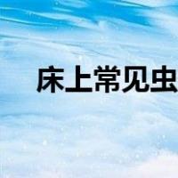 床上常见虫子图片大全（虫子图片大全）