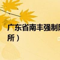 广东省南丰强制隔离戒毒所待遇（广东省南丰强制隔离戒毒所）