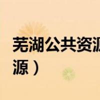 芜湖公共资源交易中心招标公告（芜湖公共资源）