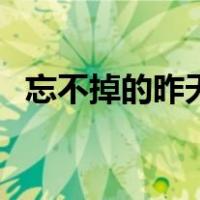忘不掉的昨天在远方插曲（忘不掉的昨天）