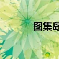 图集岛vip共享（图集岛网站）