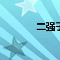 二强子的性格特点（二强子）