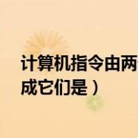 计算机指令由两部分组成它们是a（计算机指令由两部分组成它们是）