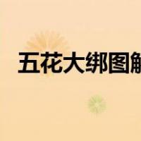 五花大绑图解步骤（最紧五花大绑后背图）