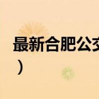 最新合肥公交线路查询（合肥公交路线路查询）